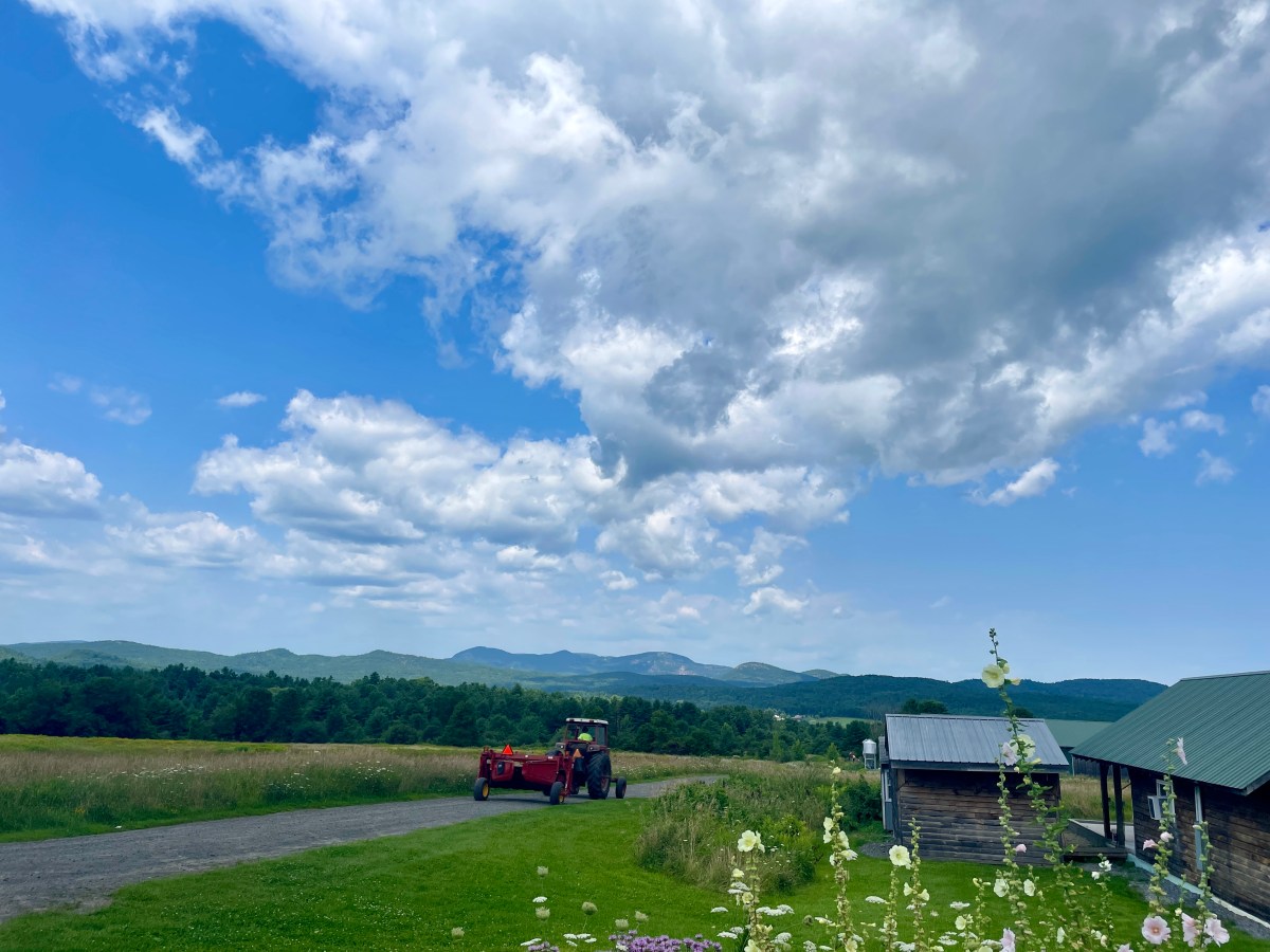 Beef Back in&nbsp;Stock